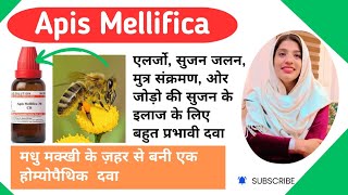 Apis Mellifica Homeopathic Medicine  Apis Mellifica 200 uses  Apis Mellifica 30 uses in hindi [upl. by Leann568]