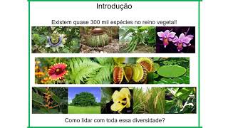 Parte 1 Introdução a Sistemática Vegetal e Nomenclatura Botânica [upl. by Eugenia805]