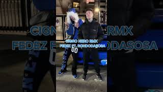 CIGNO NERO RMX  FEDEZ FT RONDODASOSA [upl. by Yetty64]