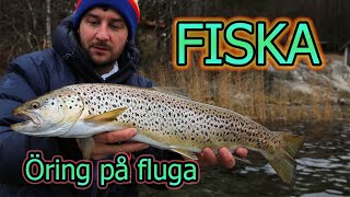 FISKA  Kustöring på fluga del 2 [upl. by Haik47]