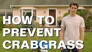 How to Prevent amp Control Crabgrass [upl. by Valer]