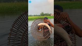 😲 Village Traditional Bamboo Tools Polo Fishing Video 2024  part 26fish fishing shorts viral [upl. by Jarrad539]