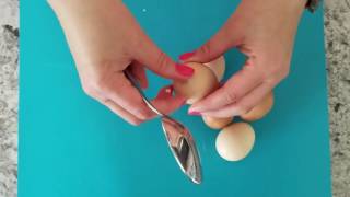 How to Peel a Hard Boiled Egg with a Spoon [upl. by Alled768]