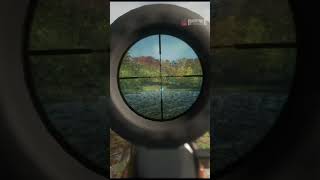 Red Deer hunting  Hunter Call of the Wild  Gameplay [upl. by Orian944]