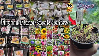 Flipkart Flower Seeds ReviewAero Seeds Combo of 40 Variety FlowerWinter Flower Seeds On Flipkart [upl. by Ahouh]