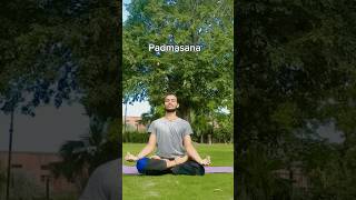 padmasana ✅🔥💯 shortvideo youtubeshorts shortfeed exercise yoga youtube yogapose yt [upl. by Hertz]