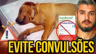 APRENDA SOBRE CONVULSÃƒO E PROBLEMAS NEUROLÃ“GICOS NO CACHORRO COMO RESOLVER COM OU SEM REMÃ‰DIOS [upl. by Reivax714]