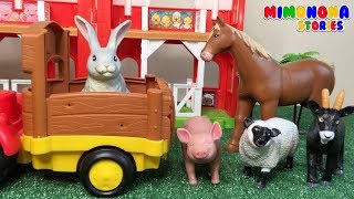 Animales dela Granja 🐮🐱🐶 Vaca Caballo Conejo Oveja y mas ✨ Videos Educativos  Mimonona Stories [upl. by Narot]