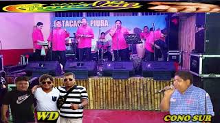 AMOR PERDONAME  CHACALON JR CANTA MARCOS SANCHEZ CONO SUR WD [upl. by Kessia]