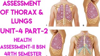 Assessment of Thorax amp LungsPart2Unit4Health AssessmentIIBsn 4rth semesterin UrduEnglish [upl. by Naujtna914]