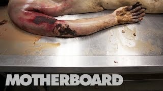 Reviving Dead Bodies in Mexico Trailer [upl. by Israeli]