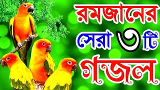 রমজানের সেরা সকলের গুনাহ মাফের মন প্রাণ জুড়ানো গজল  Ramadan Gojol  Ramadan New Gazal  2024 Gojol [upl. by Vento]