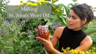 How to make St Johns Wort Oil for Sciatic Pain [upl. by Els]