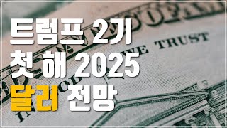 투자이야기 트럼프 2기 첫해 달러·환율 전망  금리·대선 사이클로 본 2025 버블 랠리와 경제위기 자산배분 전략 [upl. by Ahsirpac495]