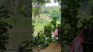 Para Kang may DSLR CAMERA pag mayrong ka nito napaka Mura pashortvideo shortsvideo shorts short [upl. by Aenahs683]