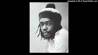 Peter Tosh  Cant Blame The Youth [upl. by Nehemiah458]