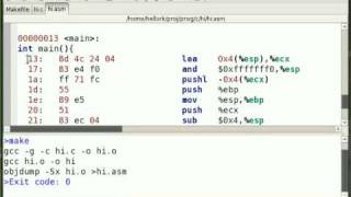Making Out with Makefiles C Objdump DisAssembly [upl. by Ahsienauq986]
