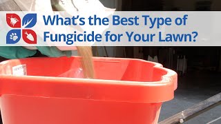 What type of fungicide should I use  DoMyOwncom [upl. by Loydie231]