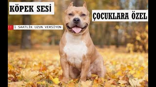 Köpek Sesi I Köpek Havlaması I Gerçek Köpek Sesi I Yavru Köpek Sesi  UZUN VERSİYON [upl. by Elton]