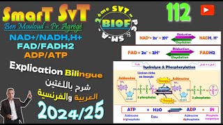 112 NAD  FAD et ATP 202425BIOF [upl. by Laurentium]