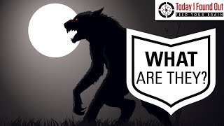 Where Did the Idea of Werewolves Come From [upl. by Arnoldo]