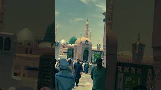 Sbika rahnuma Mere Nabi hai محمد 🕋🕌☪️🥰 islamic video you tube short [upl. by Ahgiela92]