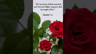 Obadiah 16 ytshorts god jesus jesus bible bibleverse rose flowers flower meditation [upl. by Camellia]