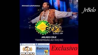 Arlindo Cruz Cd Completo Samba Brasil 2015 JrBelo [upl. by Welsh552]