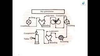 Lecture 7 Dry Granulation Technique By Payal N Vaja [upl. by Oicnedurp]