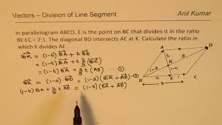 Find the Ratio in which the lines Divide in Parallelogram Vectors Segments [upl. by Roxine]