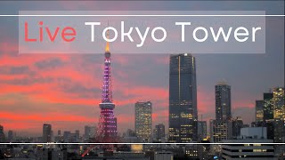 Tokyo Towe Live Camera東京タワーライブカメラ [upl. by Ahsed]