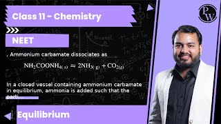 Ammonium carbamate dissociates as NH2COONH4 s⇋ 2 NH3 gCO2g In a closed vessel [upl. by Nylac328]