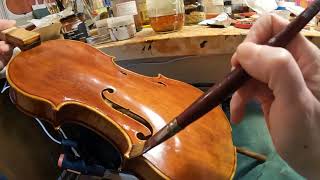 Live 🎻🎥 violin varnishing 🌺 final coat on Verbena [upl. by Nah]