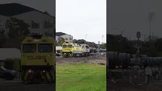 G532 Climbing in Frankston short [upl. by Ellitnahc]