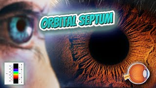 Orbital septum  Your EYEBALLS  EYNTK 👁️👁️💉😳💊🔊💯✅ [upl. by Al]