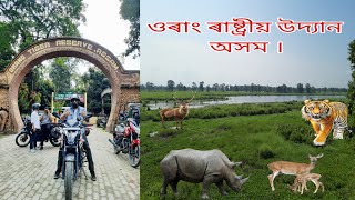 ওৰাং ৰাষ্ট্ৰীয় উদ্যান ॥ orang national park Assam ॥ [upl. by Haswell]