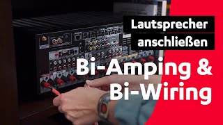 Kabelbrücken BiWiring und BiAmping Hilft es  Teufel Tutorials [upl. by Redmond242]