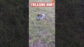 Treasure hunt in the hay field shorts hay treasure junk equipment youtubeshorts haymakers [upl. by Astrea105]