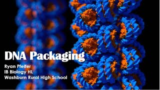 DNA Packaging [upl. by Heuser]