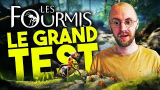 Les fourmis  le GRAND TEST 🐜 Après 40H de JEU [upl. by Draneb]