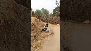 Ye pyar me kyu hota hai youtubeshorts santali funny comedy [upl. by Ayom130]