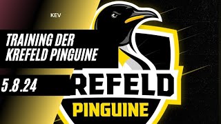 Training Krefeld Pinguine [upl. by Amehsat]