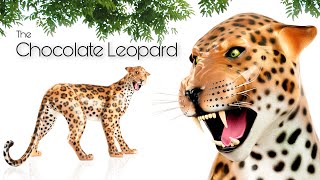 Chocolate Leopard [upl. by Ahsikyt]