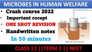 Microbes in human welfare class 12  one shot revision for term 2 amp Neet in hindi [upl. by Nomaid]