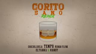 Tempo x Cosculluela x Ñengo Flow x Randy x Elysanij  Corito Sano Remix Official Audio [upl. by Papst]