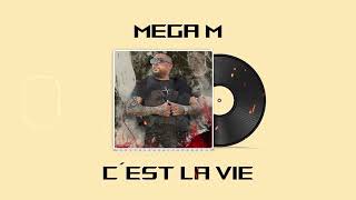 Mega M ft Prince Marock  C’est La Vie  Večer Patrí Nám Official Audio [upl. by Uyekawa]