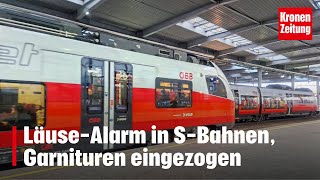 LäuseAlarm in SBahnen Garnituren eingezogen  kronetv NEWS [upl. by Moskow]