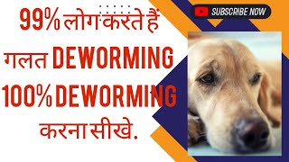 Dogs के पेट के कीड़े का इलाज ‌‌‌और दवाएं  How to Deworm a Puppy Yourself At Home  Dog care info [upl. by Abby]