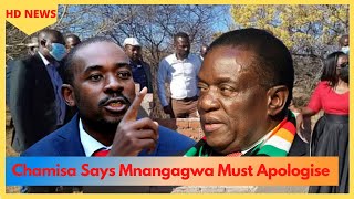 Gukurahundi Chamisa Says Mnangagwa Must Apologise [upl. by Hildegard]