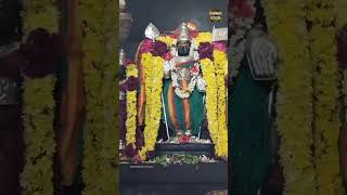 Muruga  Murugan songs murugasongs murugan முருகன் song tamil shorts shortsfeed lordmuruga [upl. by Enywad]